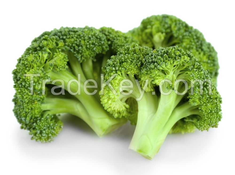 IQF hight quality fresh frozen broccoli 'A' Grade