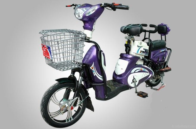 Electric Bike (HS-09)