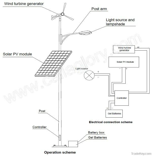 wind solar hybrid street lamp