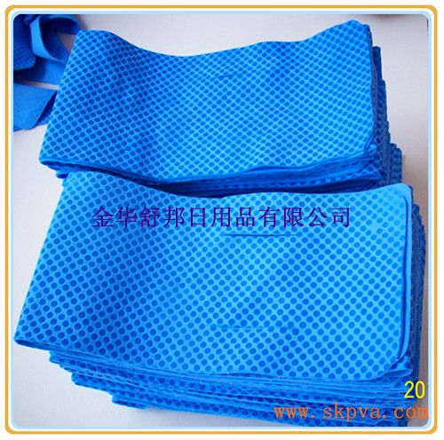 Chamois Towel or Sport Towel