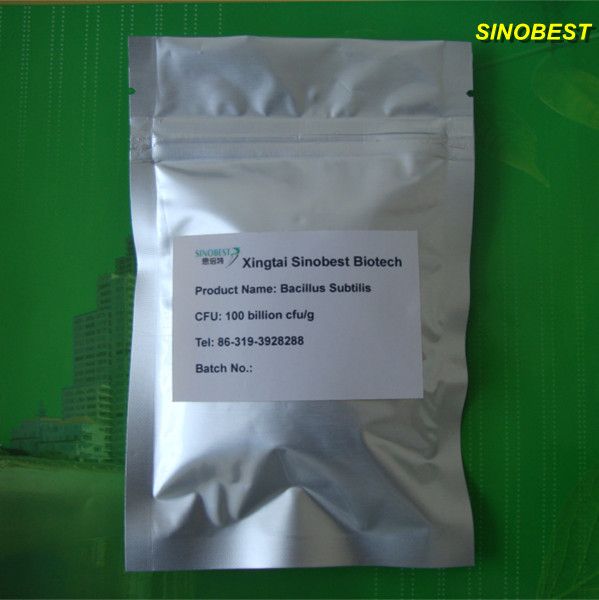 Animal feed additive Bacillus subtilis poultry livestock 