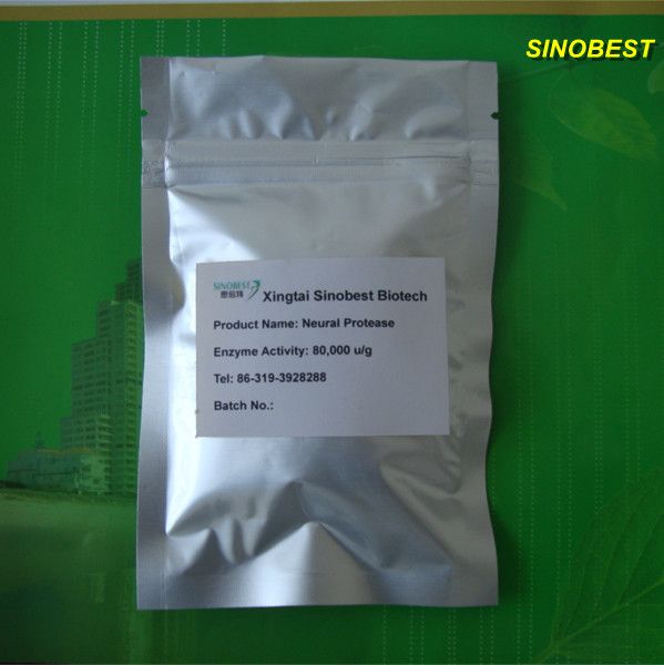 Detergent Enzymes Neutral Protease Textile enzymes leather enzymes