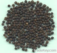 black pepper 550gl/ 500gl