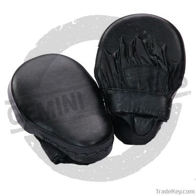 Coaching Mitts