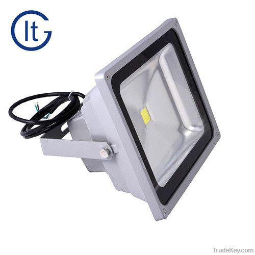 LED .30 watt flood light