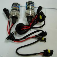 HID Bulbs