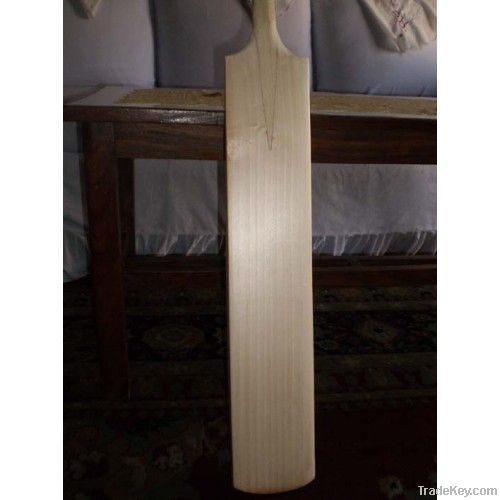 CUSTOM CRICKET BAT