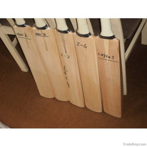 CUSTOM  CRICKET BAT