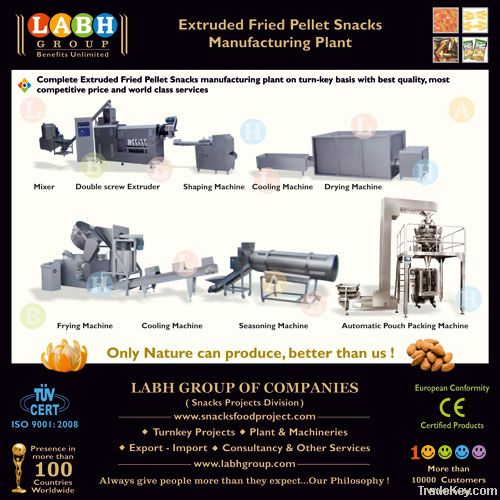 Extruded fried snacks pallet production  line