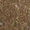 CUMIN SEEDS / JEERA