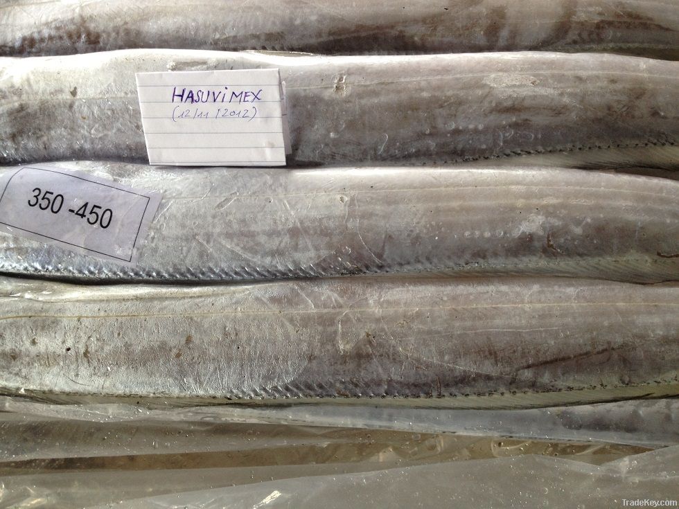 FROZEN WHOLE ROUND RIBBON FISH (HAIR FISH)