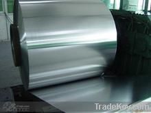 Hot dipped galvanized steel coil