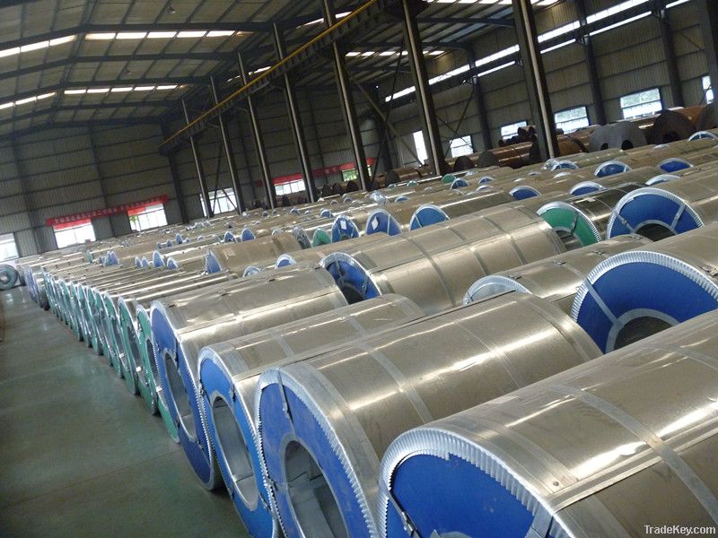 Hot dipped galvanized steel coil