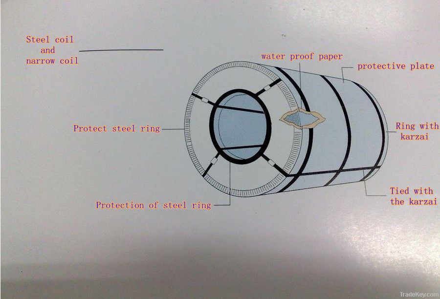 Pre-painted galvanized steel coil (PPGI)