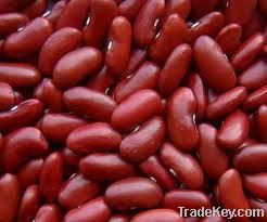 red kidney beans