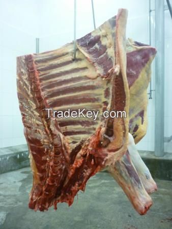 Chicken Paws, Chicken Feet, Whole chicken, and Chickens Parts for Exports