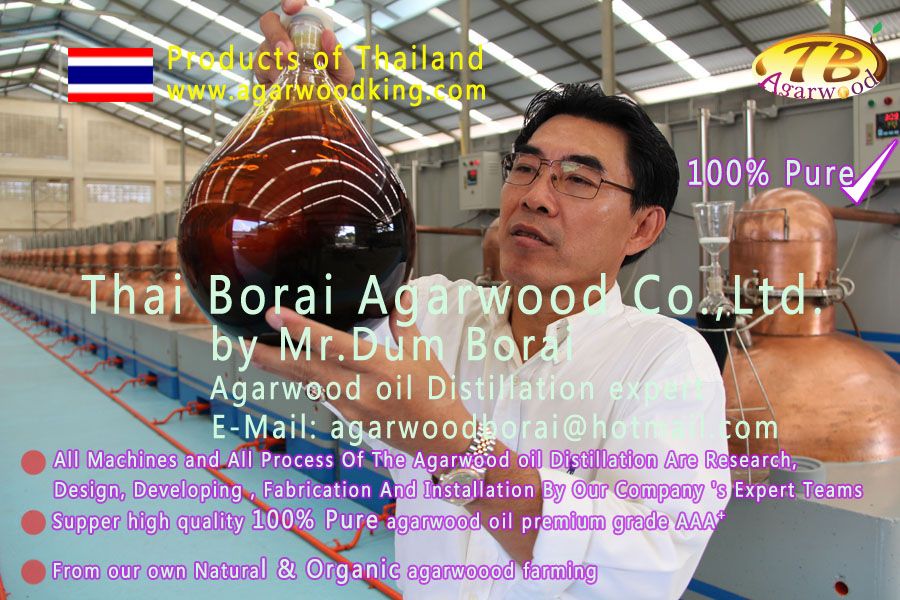 oud oil-gaharu oil-agarwood oil