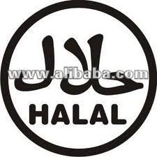 halal chicken