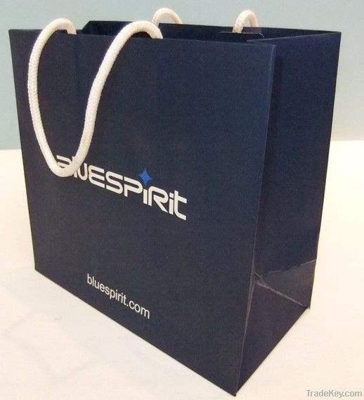 Paper bag, gift bag , shopping bag