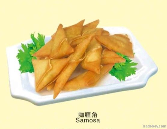 Frozen Samosa