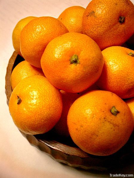 Kinnow (Mandarin)