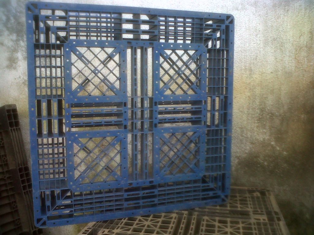 Used Plastic pallets