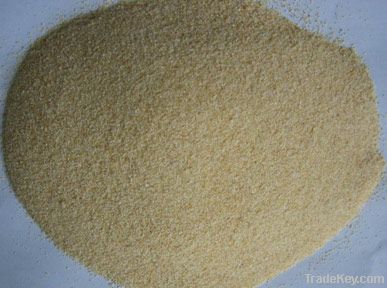 dried/dehydrated garlic granules A grade  40/80mesh