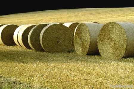 Straw pellets for horse bedding