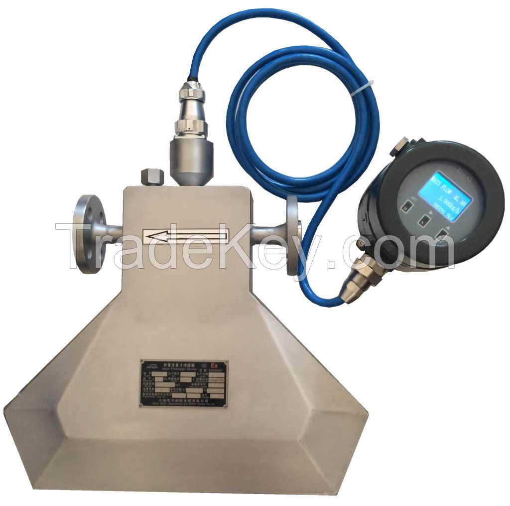 Metern Coriolis Mass Flow Meter