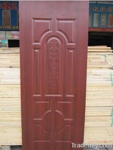 Door Skin