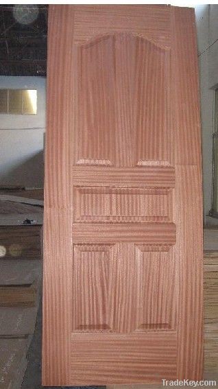 Door Skin