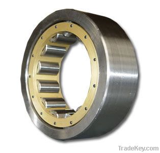 Cylindrical Roller Bearing