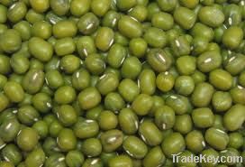 Mung beans