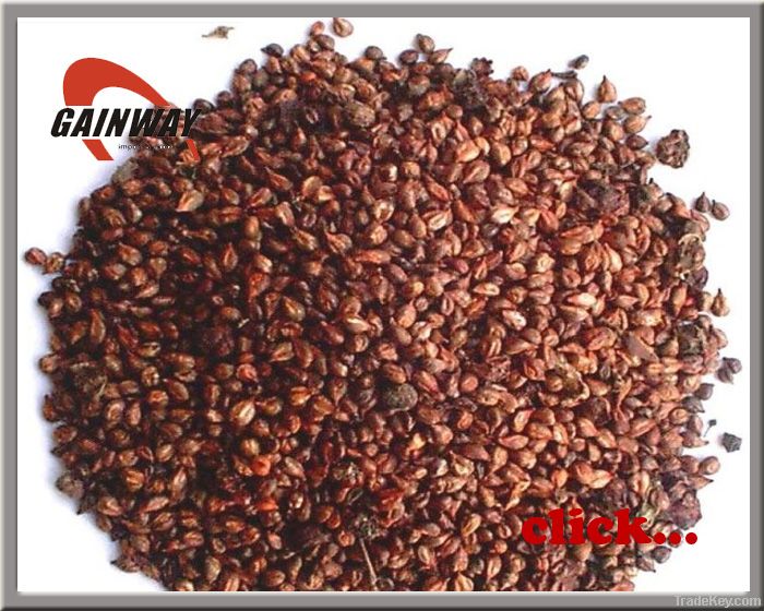 Grape Seed Extract powder