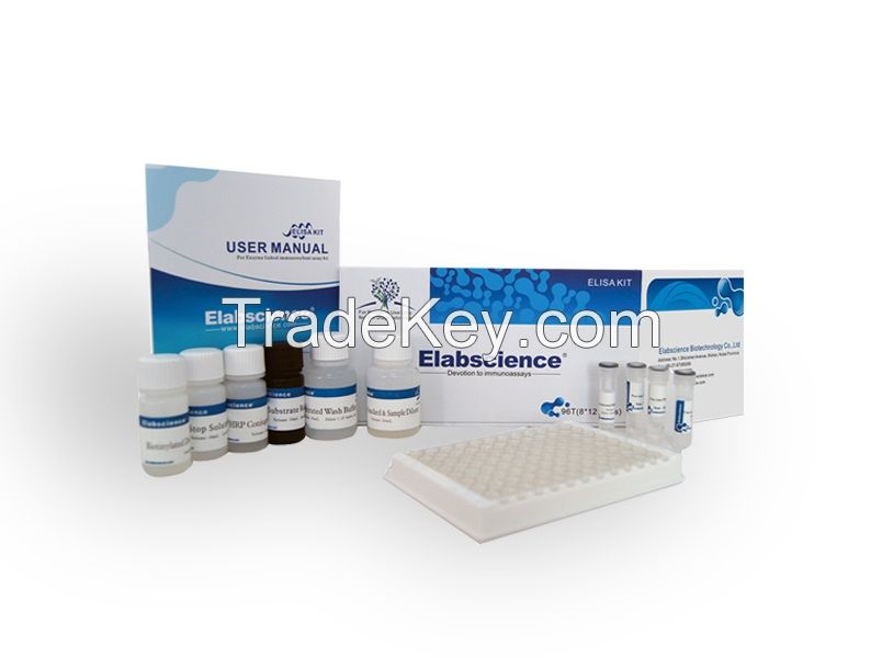 Rat OC/BGP(Osteocalcin) ELISA Kit