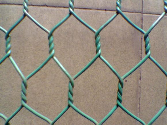 PVC Hexagonal Wire Netting