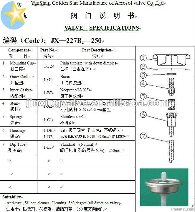 all direction aerosol spray valve