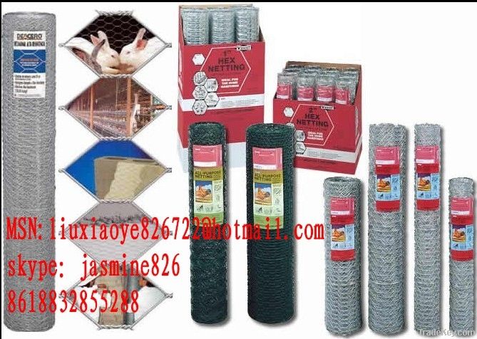 hexagonal wire netting