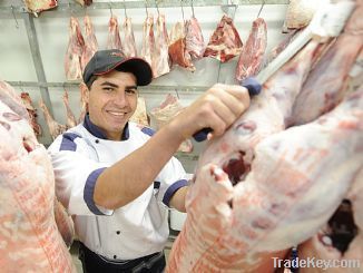 fresh carcass of lamb, goat halal certified