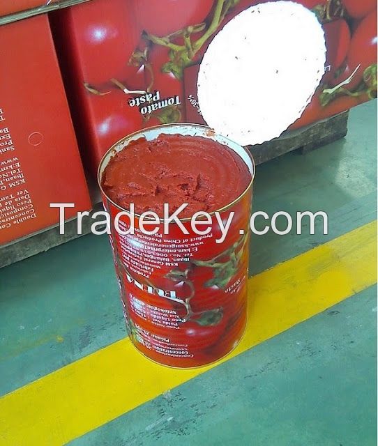 Canned Tomato Paste