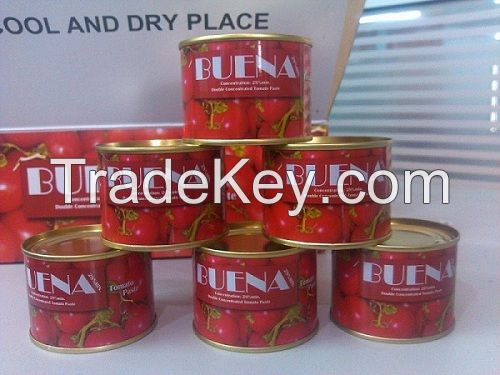 Canned Tomato Paste