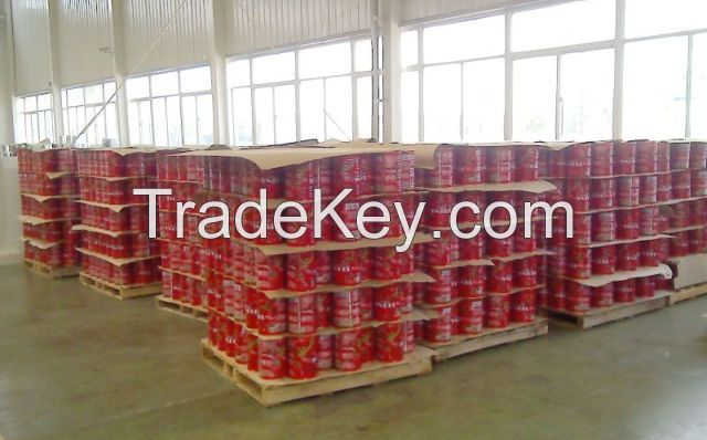 Tins Tomatoes