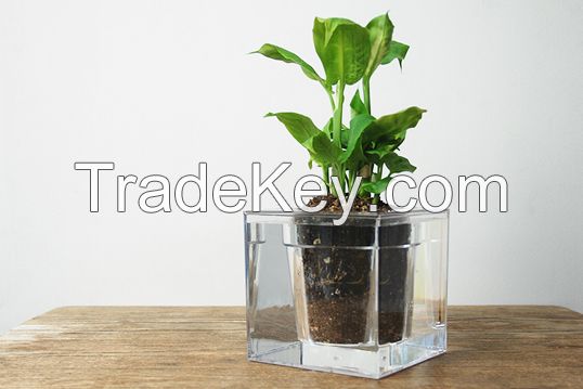 Water Cube Plant Pot