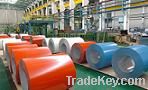 Prepainted galvanized steel sheet/plate in coil