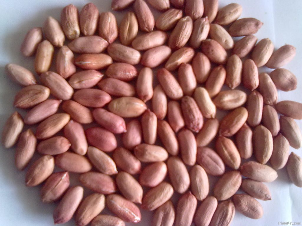 peanut kernels