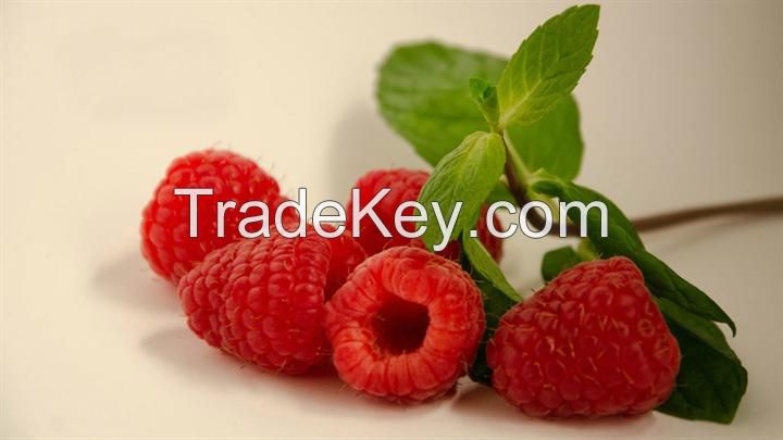 Raspberry Fruit Powder