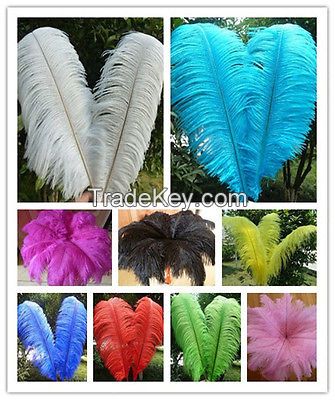 OSTRICH FEATHER