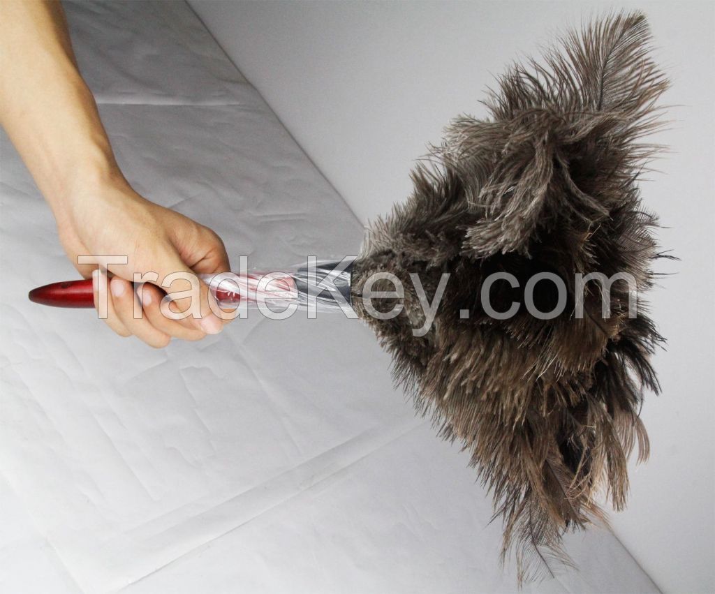 QUALITY OSTRICH FEATHERS FOR CENTERPIECE AND DUSTER.