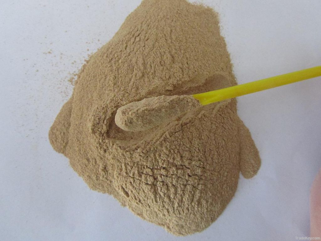 Yeast powder