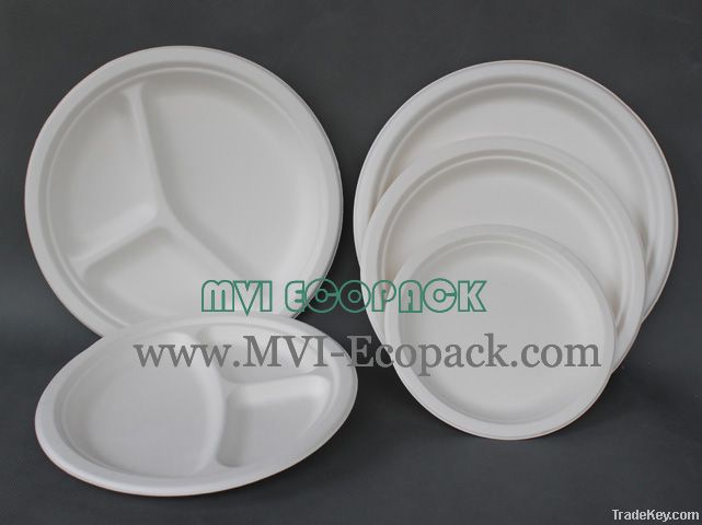 Eco Friendly Disposable Plates